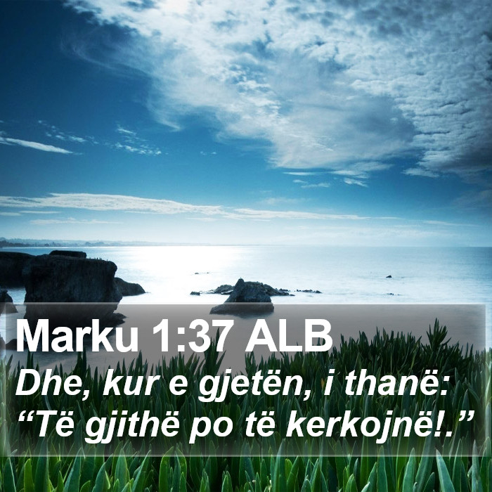 Marku 1:37 ALB Bible Study