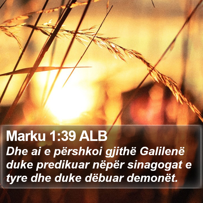 Marku 1:39 ALB Bible Study