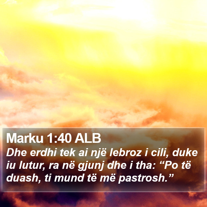 Marku 1:40 ALB Bible Study