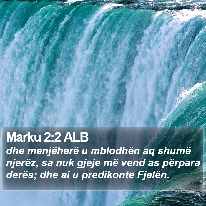 Marku 2:2 ALB Bible Study