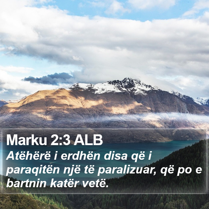 Marku 2:3 ALB Bible Study