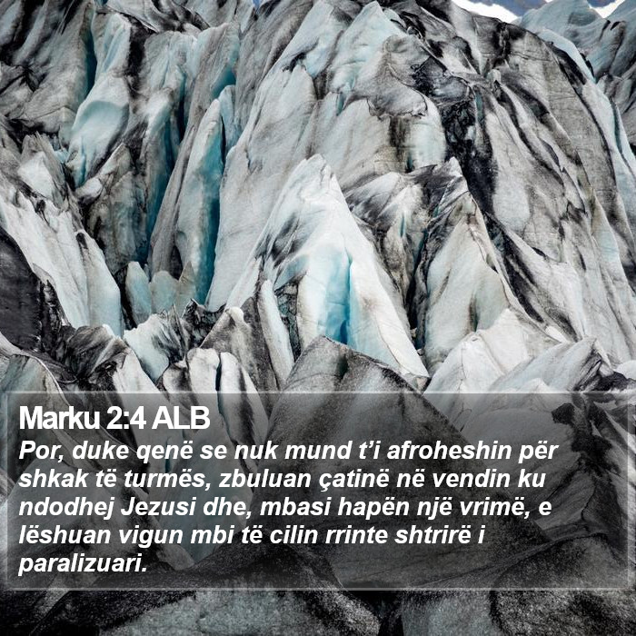 Marku 2:4 ALB Bible Study