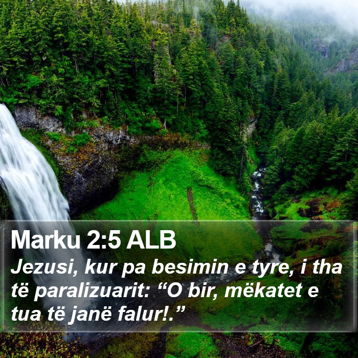 Marku 2:5 ALB Bible Study