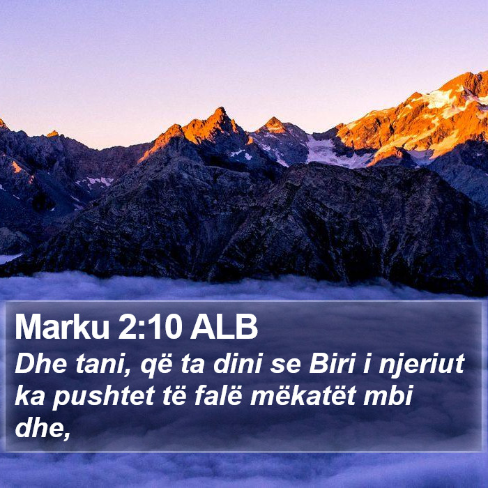 Marku 2:10 ALB Bible Study