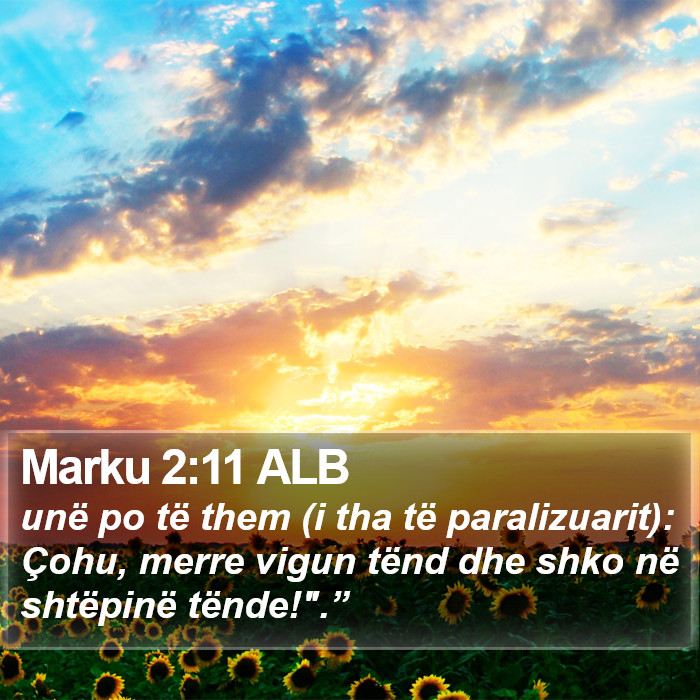 Marku 2:11 ALB Bible Study