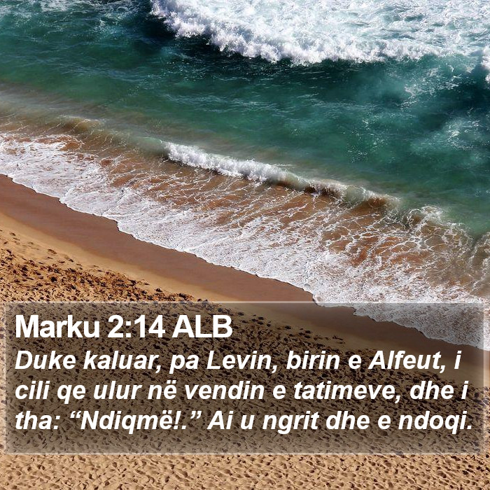 Marku 2:14 ALB Bible Study