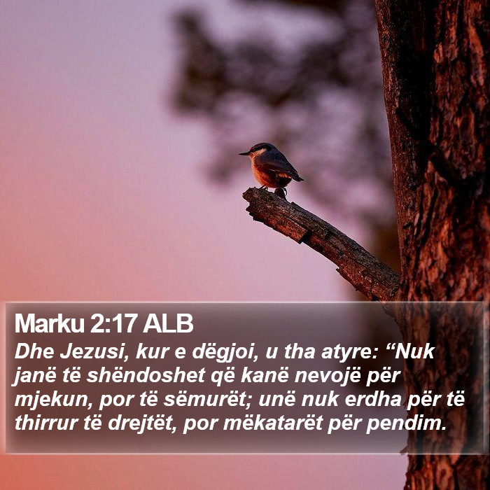 Marku 2:17 ALB Bible Study