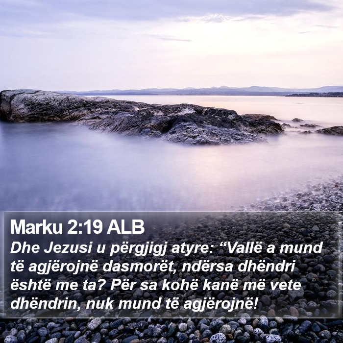 Marku 2:19 ALB Bible Study