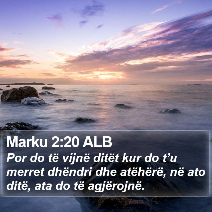 Marku 2:20 ALB Bible Study