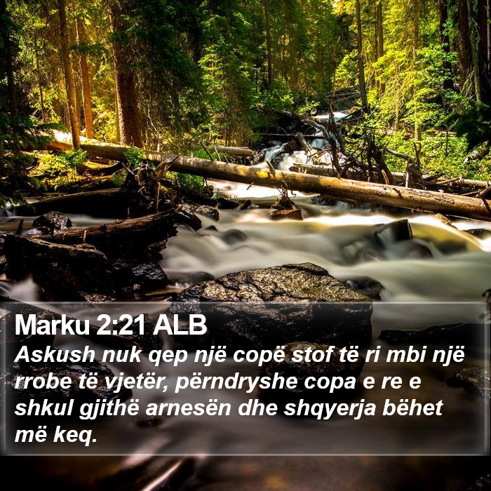 Marku 2:21 ALB Bible Study