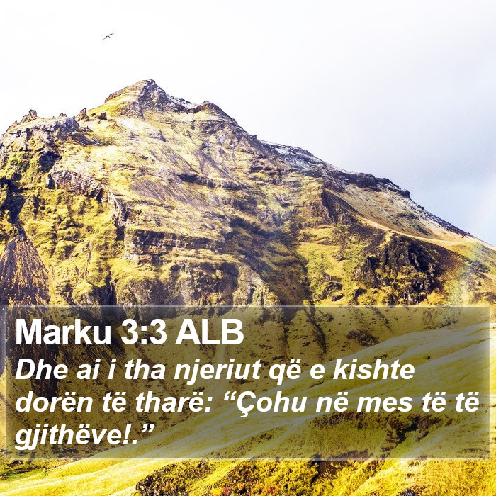 Marku 3:3 ALB Bible Study