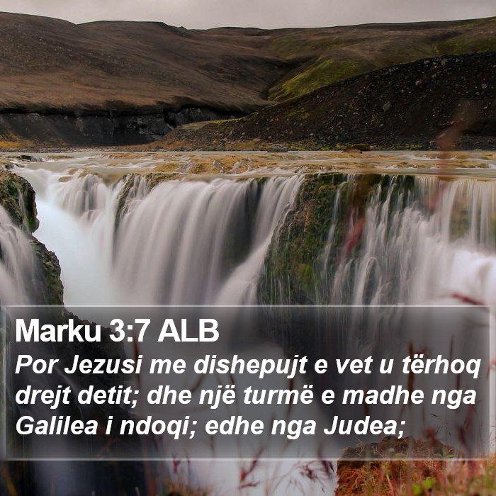 Marku 3:7 ALB Bible Study