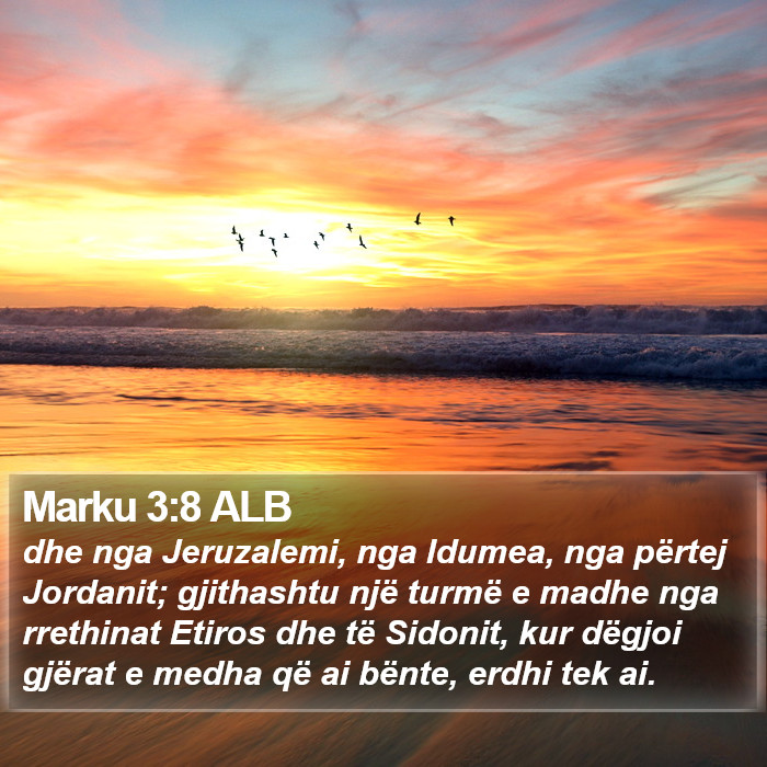 Marku 3:8 ALB Bible Study