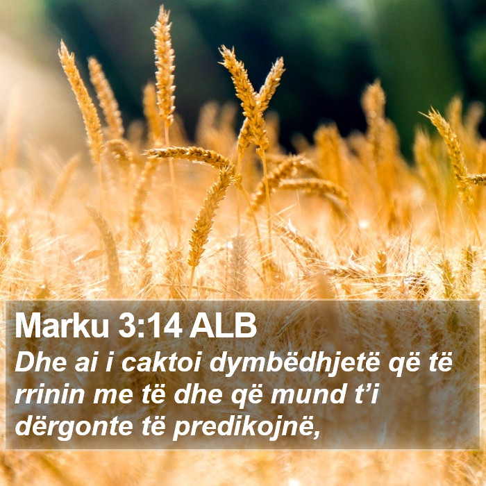 Marku 3:14 ALB Bible Study