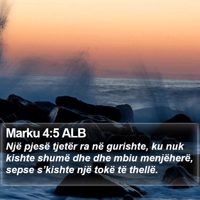 Marku 4:5 ALB Bible Study