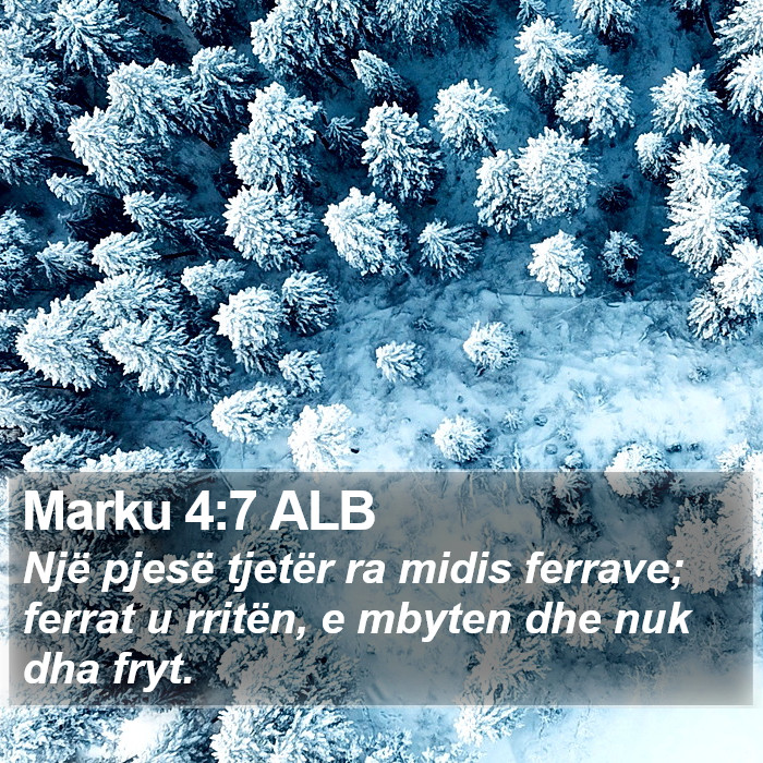 Marku 4:7 ALB Bible Study