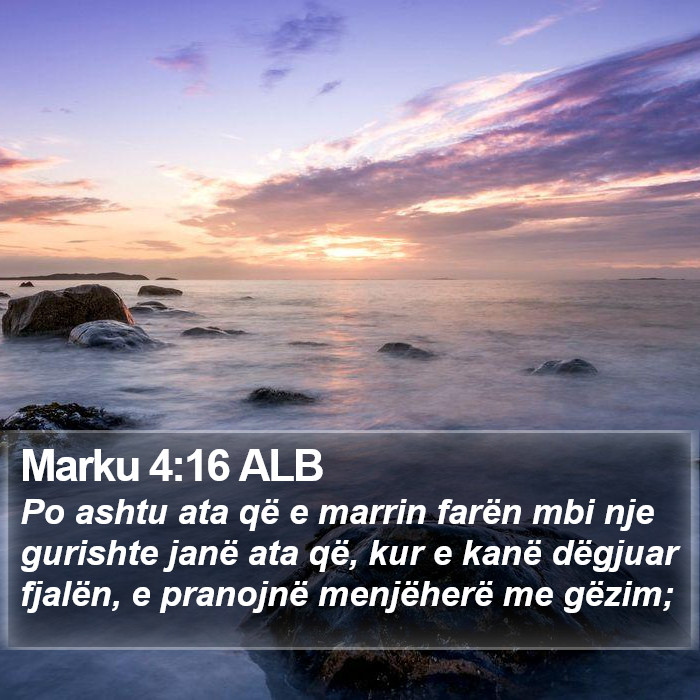 Marku 4:16 ALB Bible Study