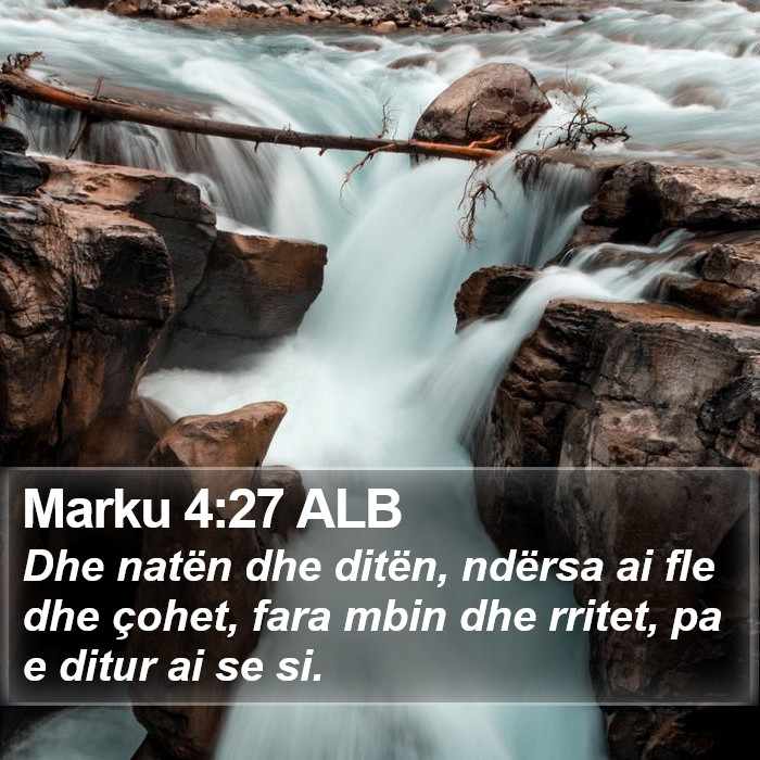 Marku 4:27 ALB Bible Study