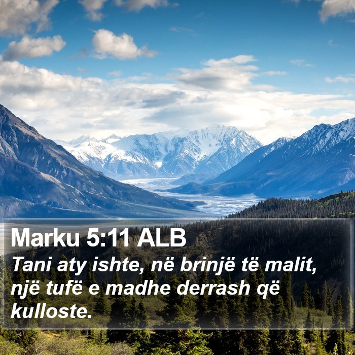 Marku 5:11 ALB Bible Study