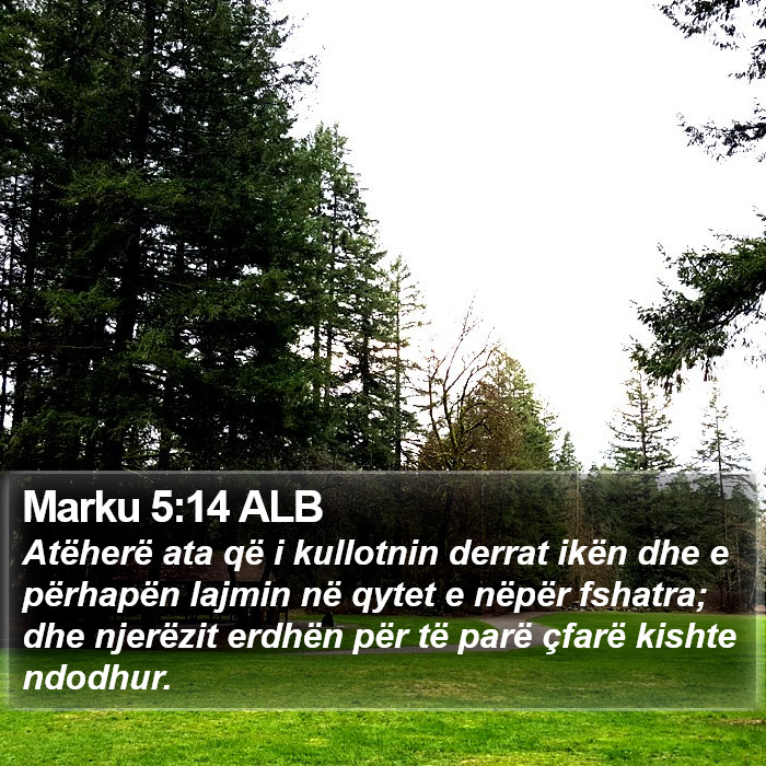 Marku 5:14 ALB Bible Study