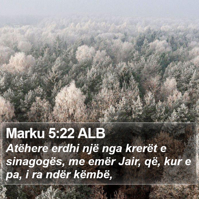 Marku 5:22 ALB Bible Study