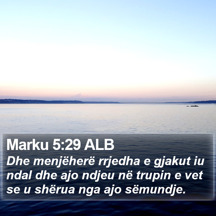 Marku 5:29 ALB Bible Study