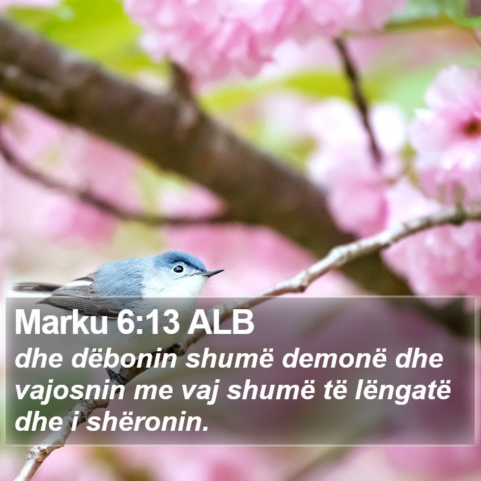 Marku 6:13 ALB Bible Study