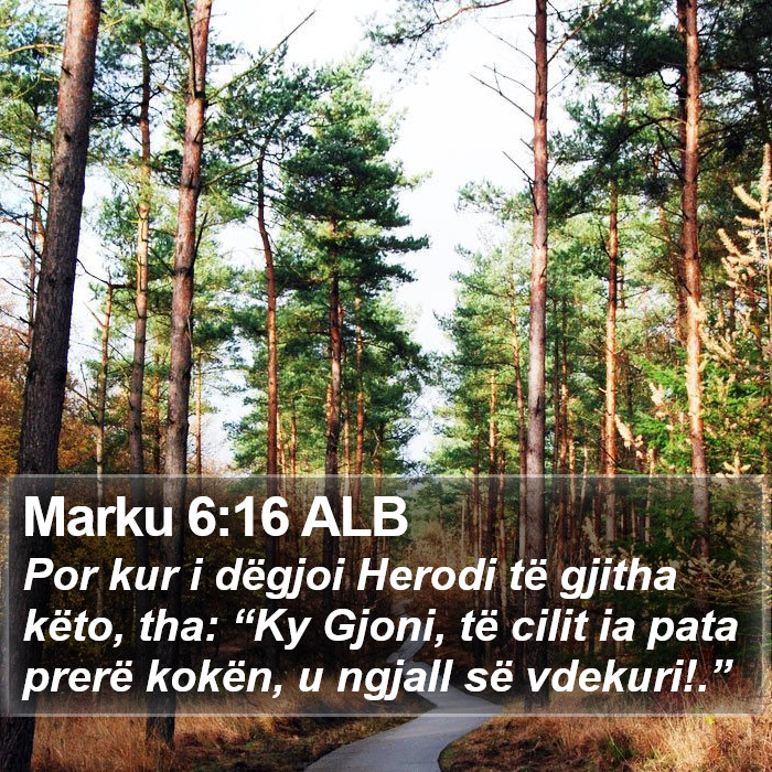 Marku 6:16 ALB Bible Study