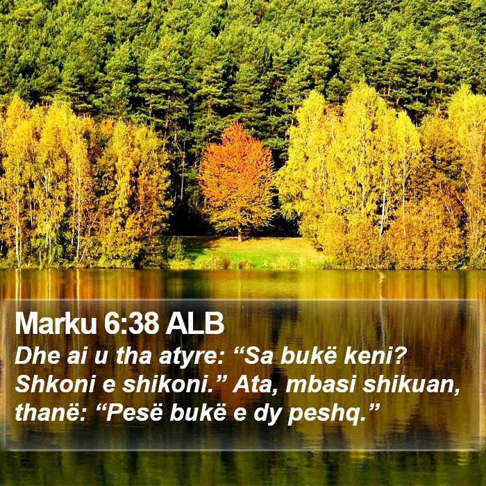 Marku 6:38 ALB Bible Study