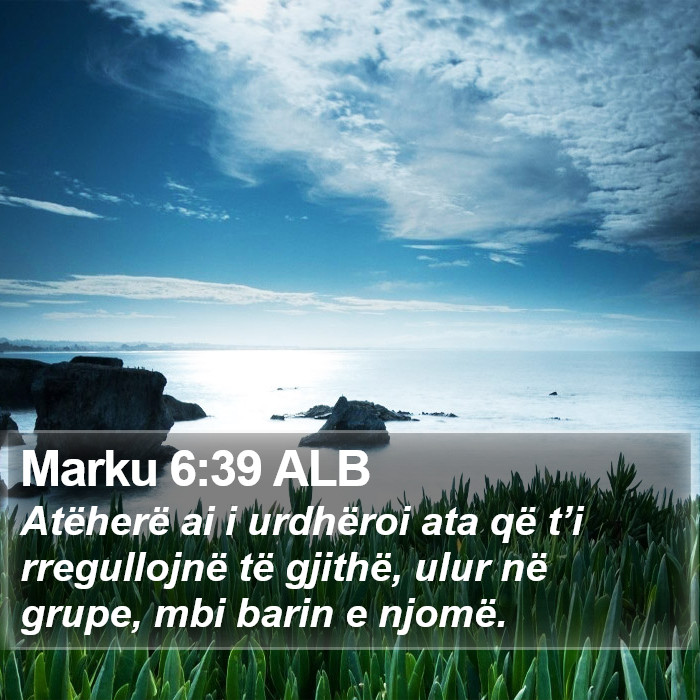 Marku 6:39 ALB Bible Study