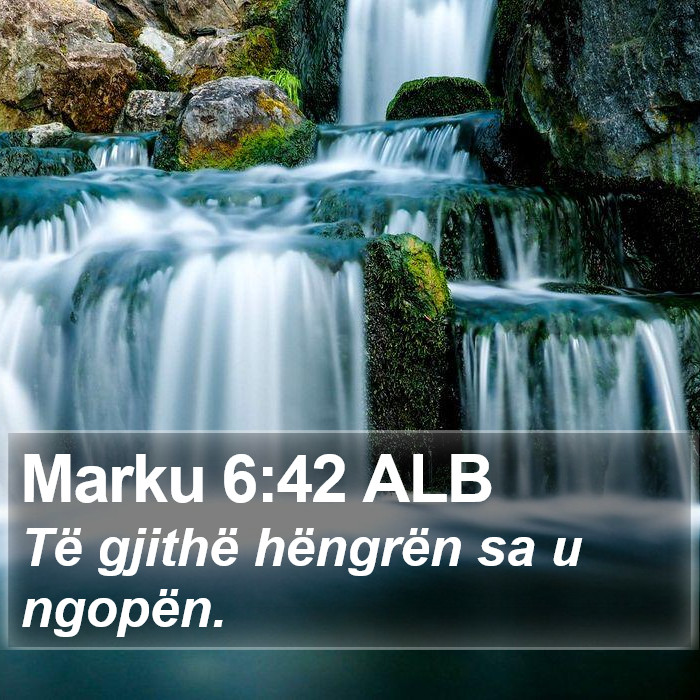 Marku 6:42 ALB Bible Study