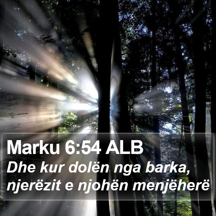 Marku 6:54 ALB Bible Study