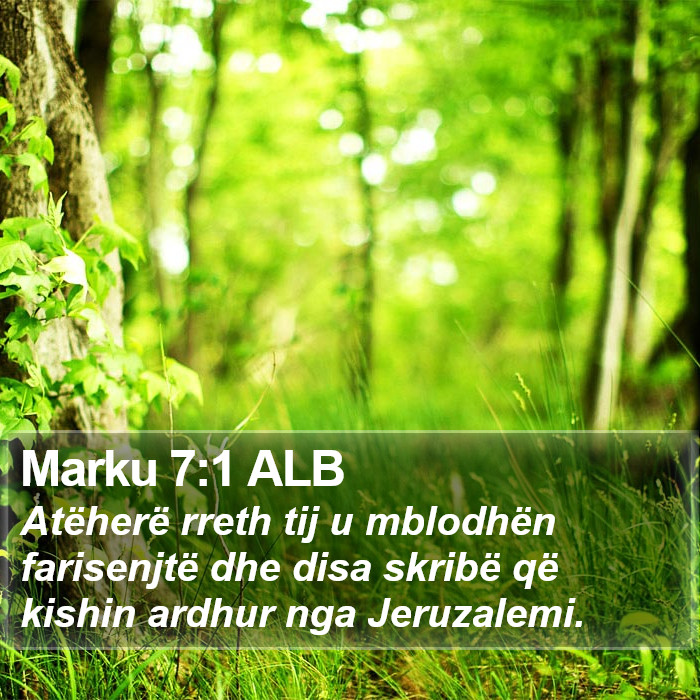 Marku 7:1 ALB Bible Study