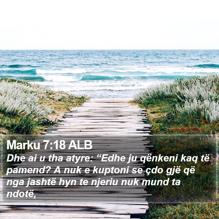 Marku 7:18 ALB Bible Study