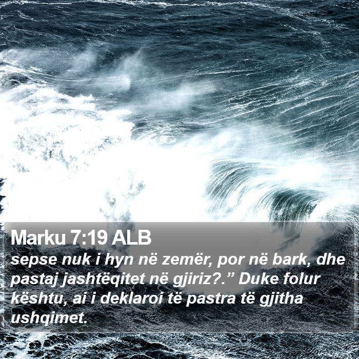 Marku 7:19 ALB Bible Study