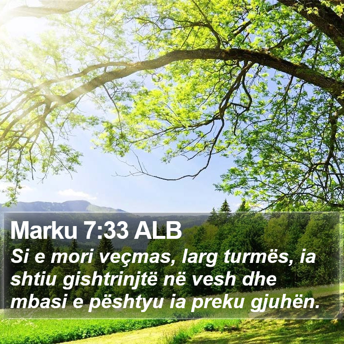 Marku 7:33 ALB Bible Study