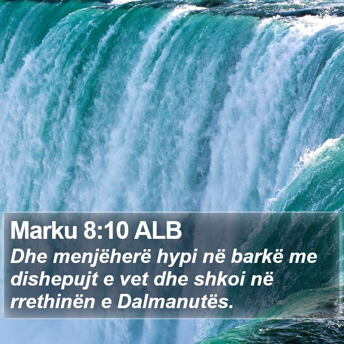 Marku 8:10 ALB Bible Study