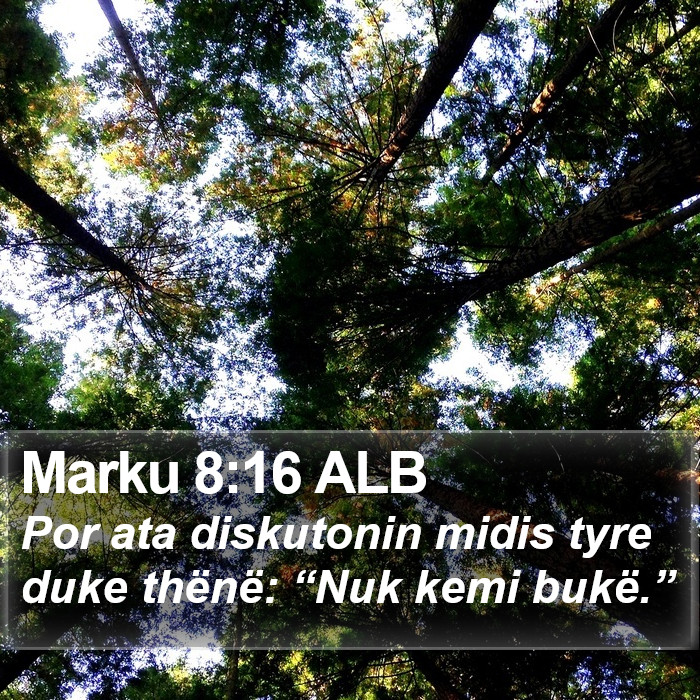 Marku 8:16 ALB Bible Study