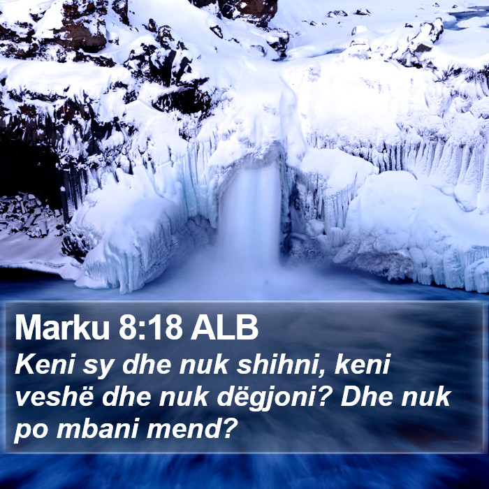 Marku 8:18 ALB Bible Study