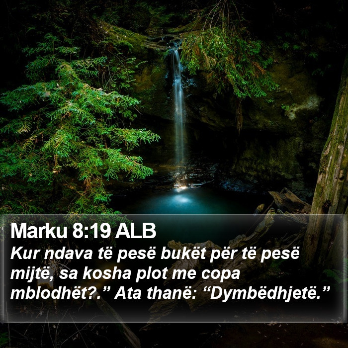 Marku 8:19 ALB Bible Study