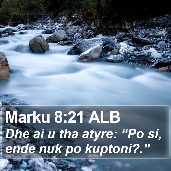 Marku 8:21 ALB Bible Study