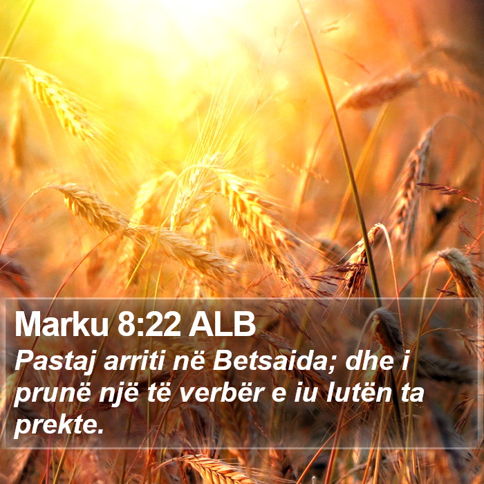 Marku 8:22 ALB Bible Study