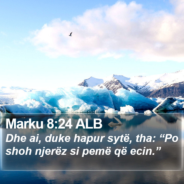 Marku 8:24 ALB Bible Study