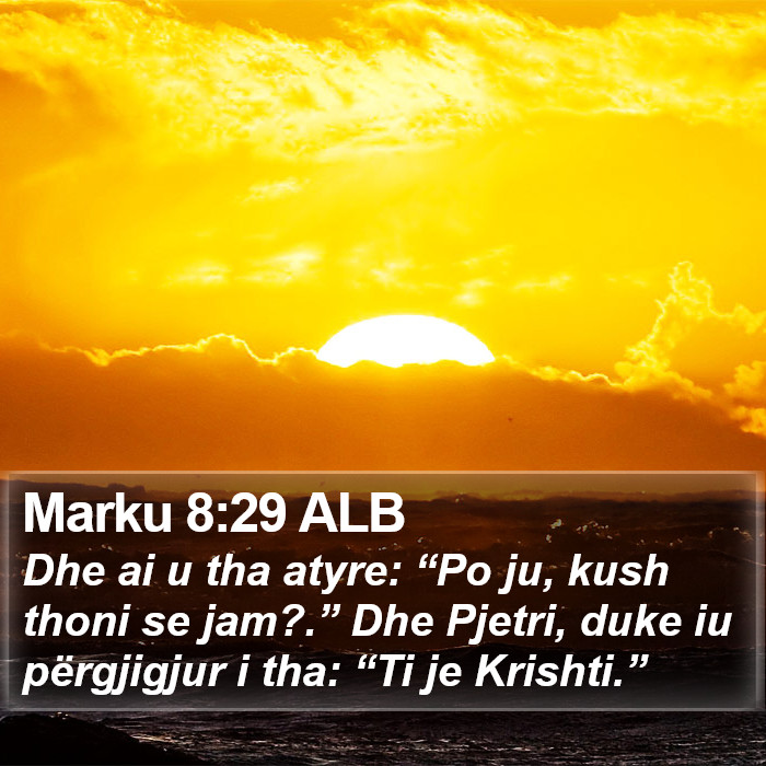 Marku 8:29 ALB Bible Study