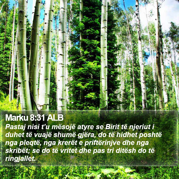 Marku 8:31 ALB Bible Study