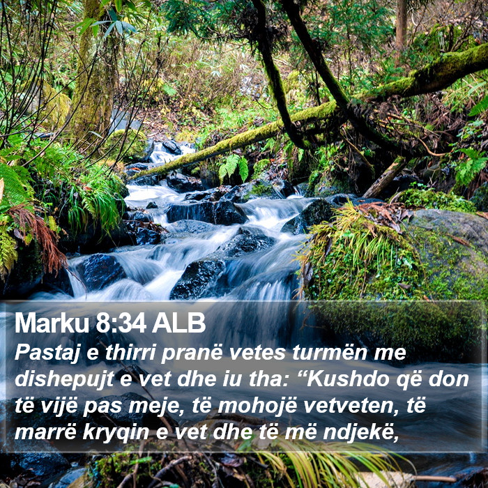 Marku 8:34 ALB Bible Study