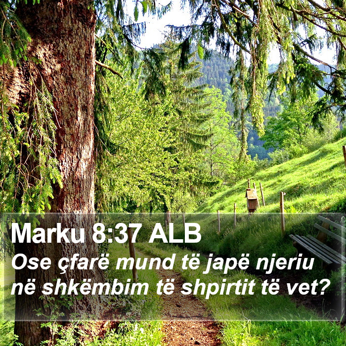 Marku 8:37 ALB Bible Study