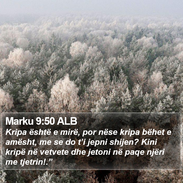 Marku 9:50 ALB Bible Study