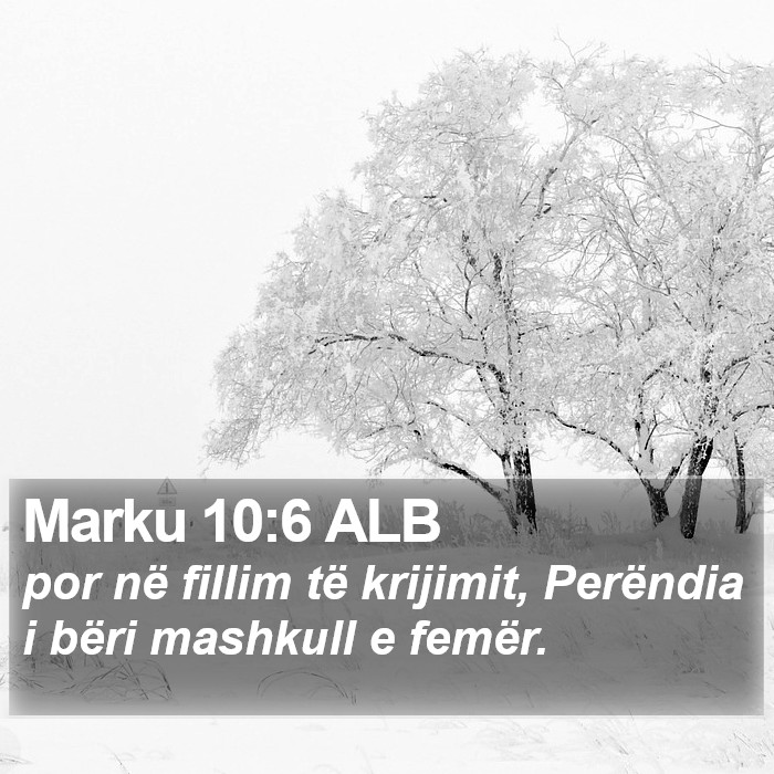 Marku 10:6 ALB Bible Study