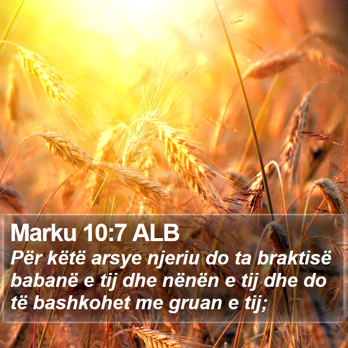 Marku 10:7 ALB Bible Study